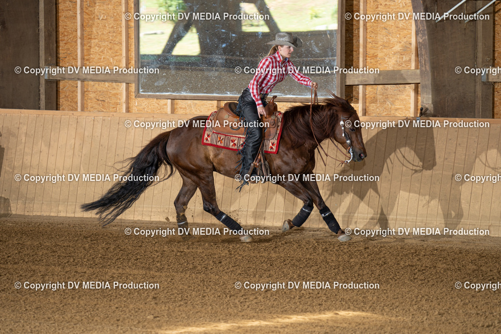 DSC00109 | dv-media-shop - Realisiert mit Pictrs.com