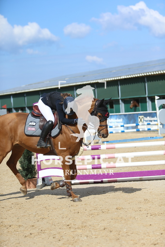 DL2Q8665 | Willkommen bei Brunnmayr - Design & Fotografie – Ihrem Spezialisten für Reitturniere und Pferdeveranstaltungen in Oberösterreich, Salzburg und Bayern! Seit über 17 Jahren sind wir leidenschaftlich dabei.