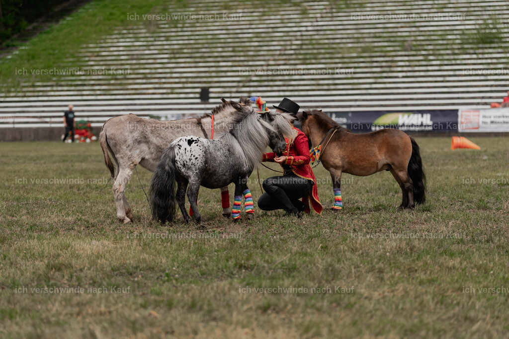Showprogramm-250 | working equitationturnier fotograf videograf stoibphotography marixx film working equitation deutschland reitsport turnierfotografie eventfotografie equestrian events