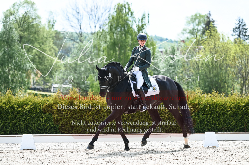 20230514_JK-Röhrsdorf-19-083 | Pferde- und Turnierfotografie in Westsachsen. Pferdeportraits, Auftragszeichnungen und intuitive Kunst.