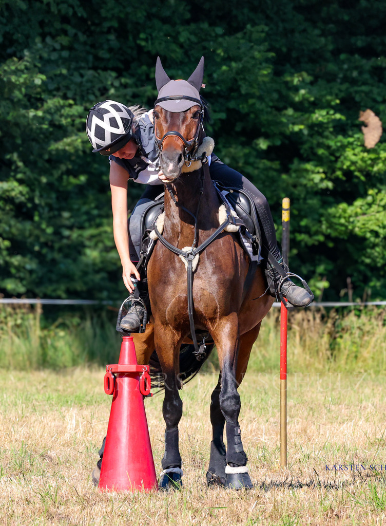 1B3A8390 | Reitsport Reiten