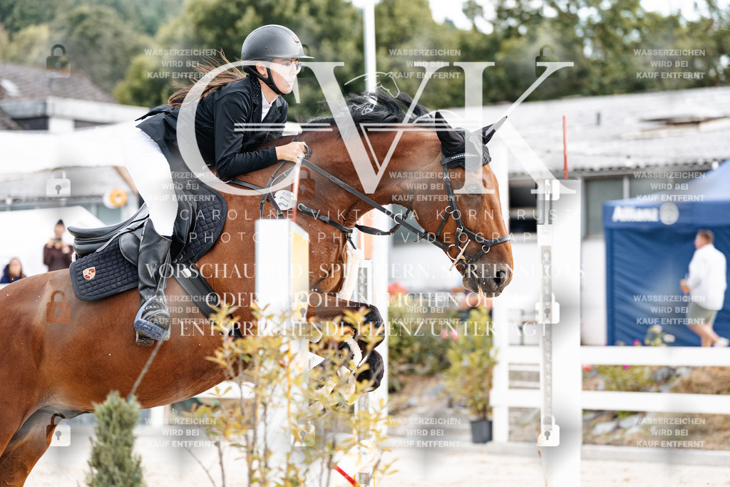 CK902798 | Turnierfotografie Pferdefotografie Trier Rheinland-Pfalz Pferdesport Reitsport Tierfotografie Sportfotografie Pferdevideo Pferdevideografie Equestrianvideography equestrianphotography  - Realisiert mit Pictrs.com