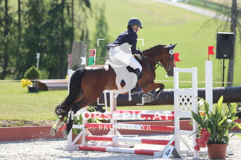 0P6A7555 | Willkommen bei Brunnmayr - Design & Fotografie – Ihrem Spezialisten für Reitturniere und Pferdeveranstaltungen in Oberösterreich, Salzburg und Bayern! Seit über 17 Jahren sind wir leidenschaftlich dabei.