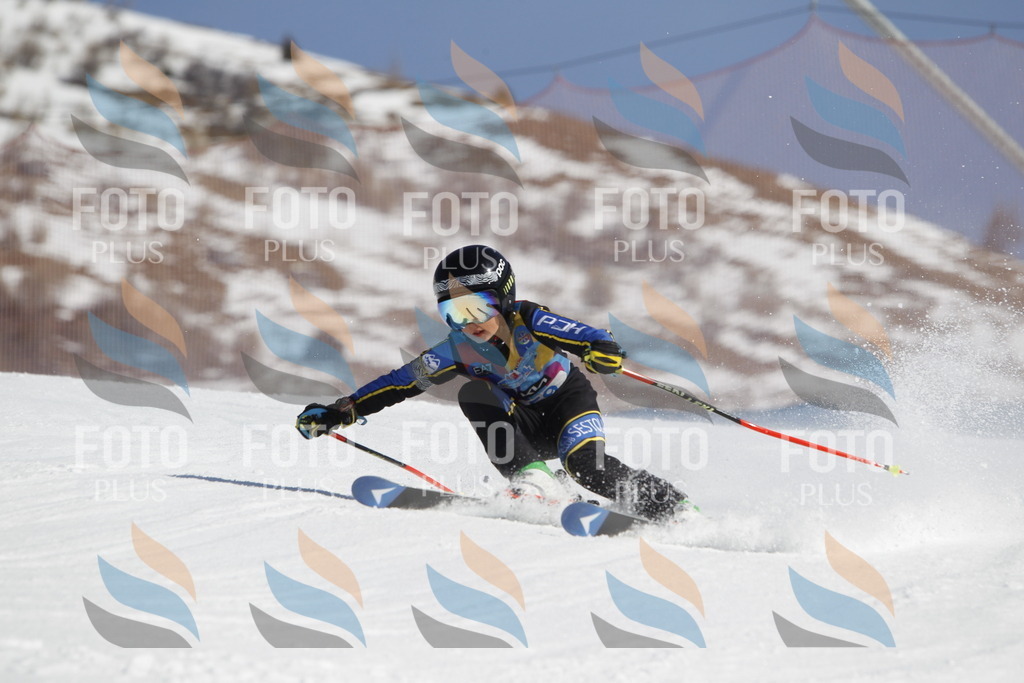 _U3G9582 | holidayphoto