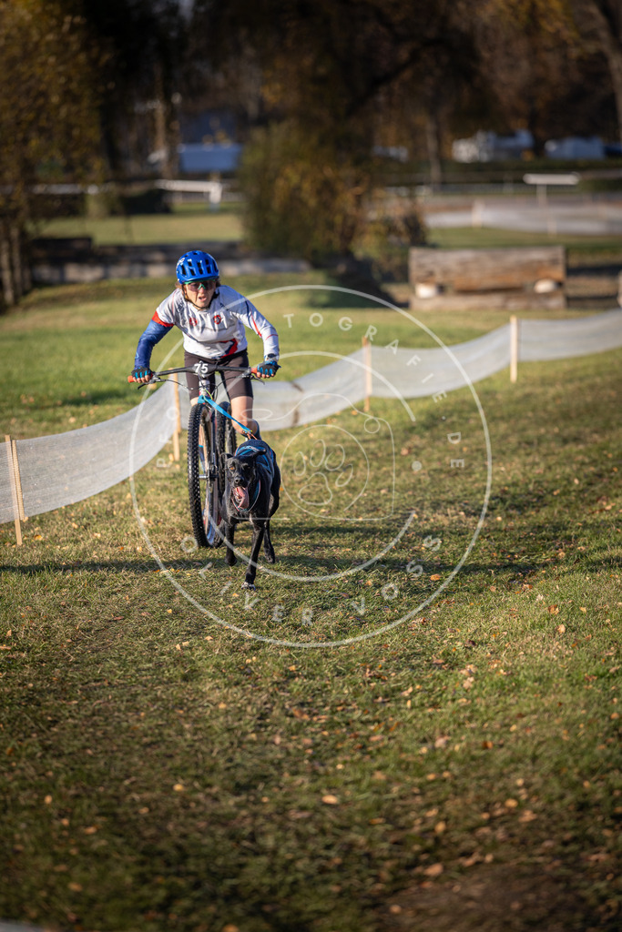 CaniXpix_DV3A1358 | Hundefotografie, Tierfotograf, Pfotenfotografie, Fotoshooting Hund, Hunde Portrait, Hundesport, Hundeportraits, Heideshooting, Hunde, Sportfotograf, Hundefotograf, Turnierhundsport, THS,  - Realisiert mit Pictrs.com