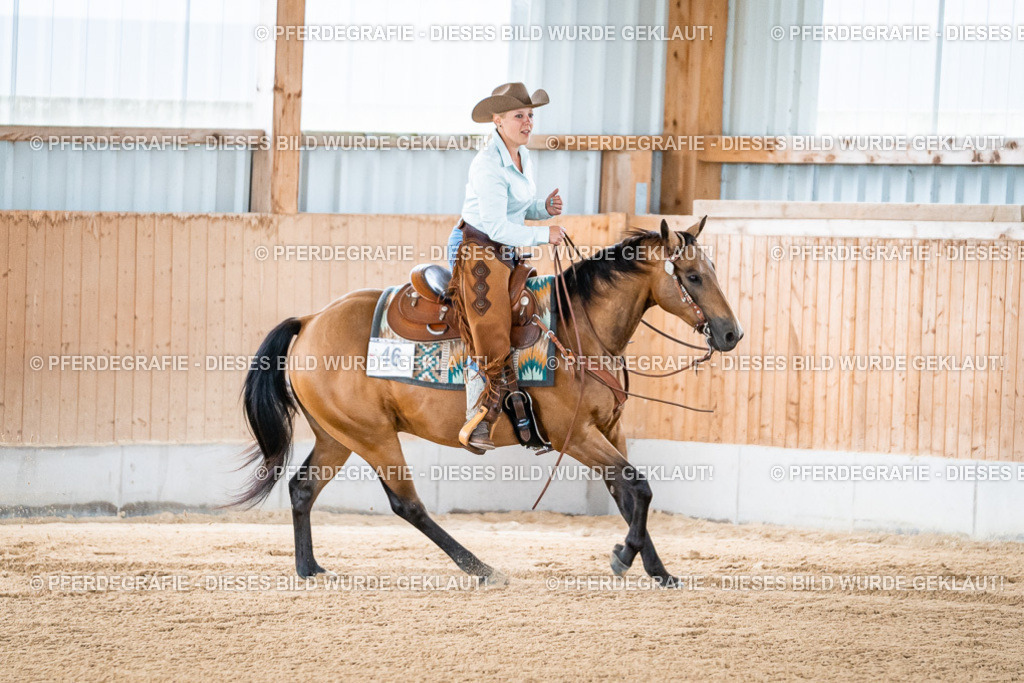 DSC07944 | Pferdegrafie