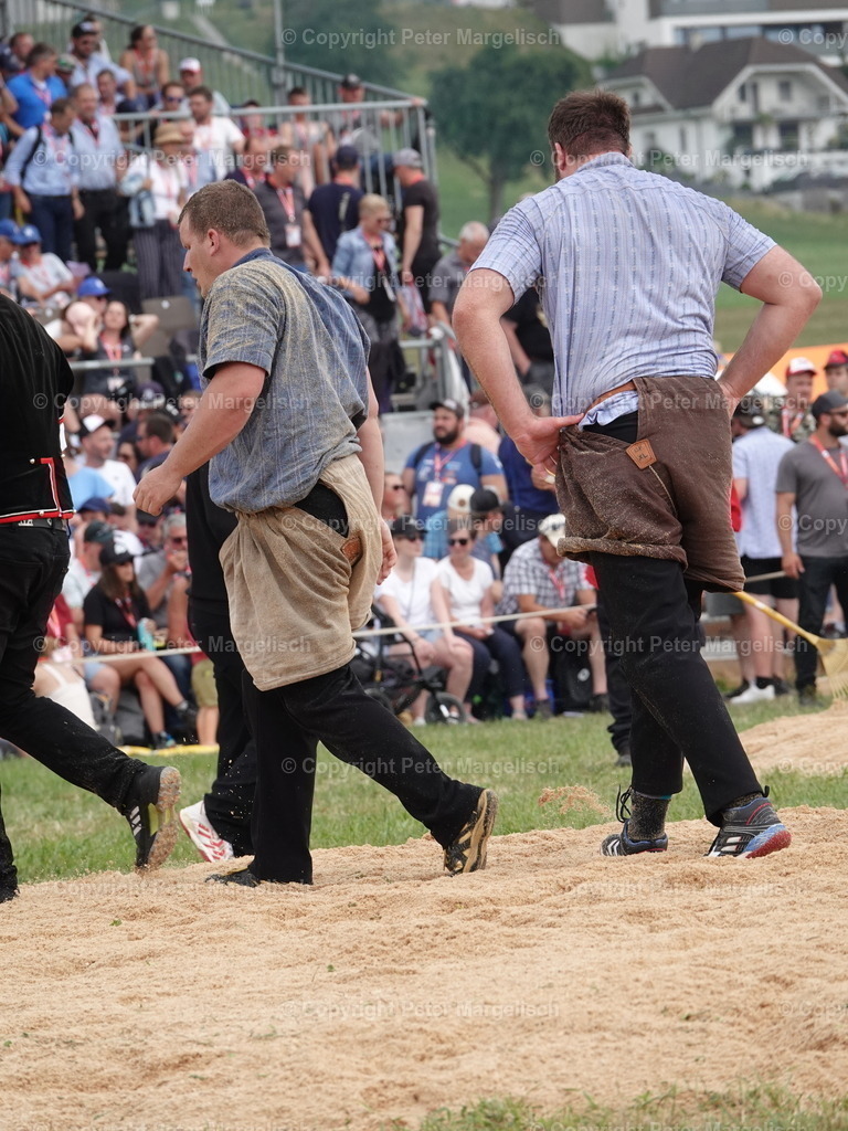 DSC05020 | Schwingen - Realisiert mit Pictrs.com