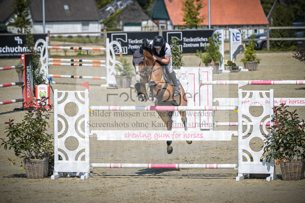 DOS_0825 | Entdecke hochwertige Reitturnierfotos von Foto Oger. Professionell, emotional und authentisch – jetzt Lieblingsmomente im Shop bestellen.Deutschlandweite Turnierfotografie. - Realisiert mit Pictrs.com