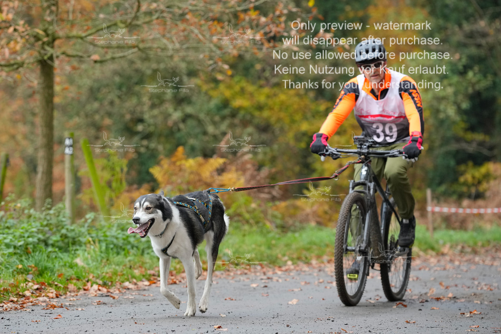 Bike_So-119 | stephaniefillaphotographie - Realisiert mit Pictrs.com