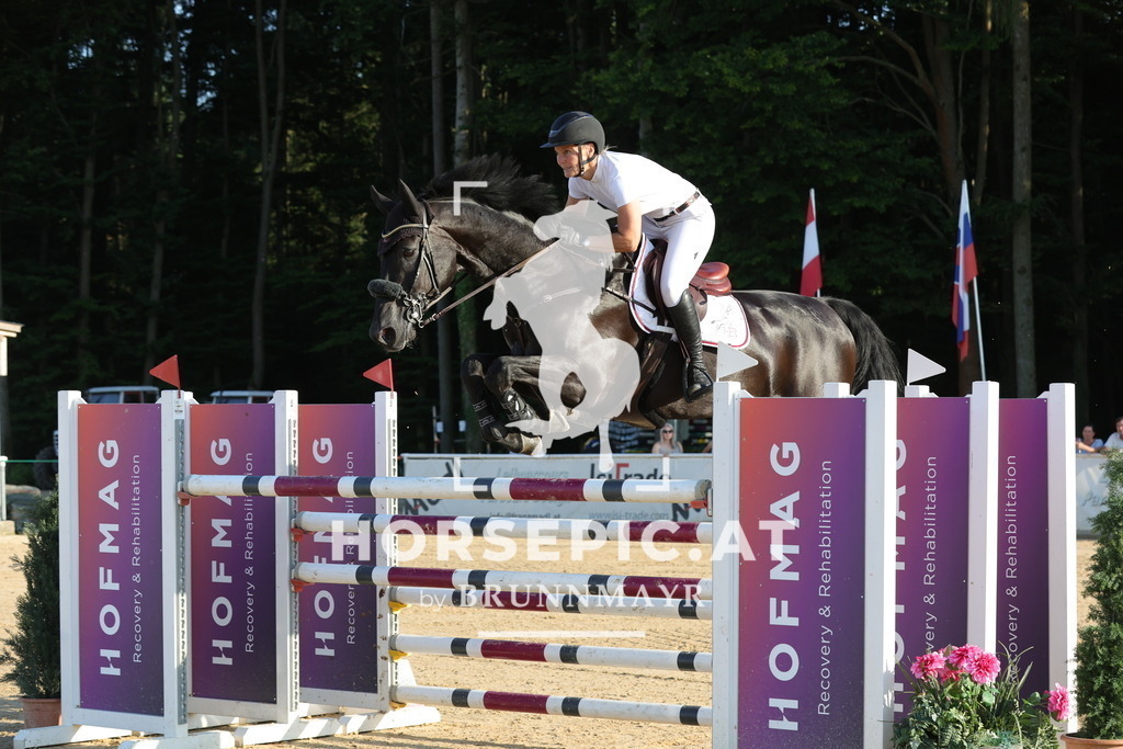 0P6A2374 | Willkommen bei Brunnmayr - Design & Fotografie – Ihrem Spezialisten für Reitturniere und Pferdeveranstaltungen in Oberösterreich, Salzburg und Bayern! Seit über 17 Jahren sind wir leidenschaftlich dabei.