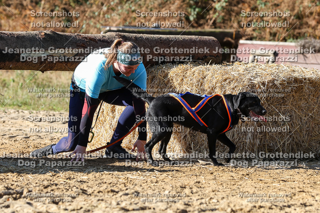 Dog Paparazzi - Strongdog 10-25-2921 | Dog Paparazzi Jeanette Grottendiek Fotografie & Videografie - Realisiert mit Pictrs.com