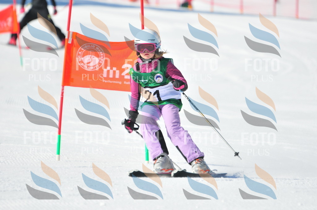 C1950 | holidayphoto