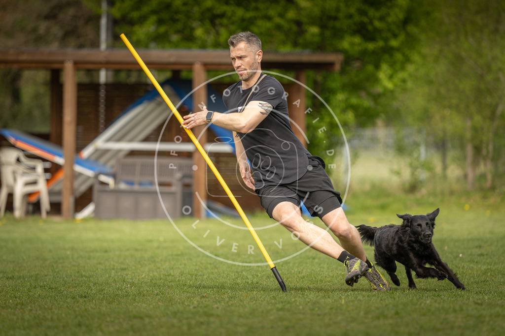 Pfotenfotografie_DV3A5221 | Hundefotografie, Tierfotograf, Pfotenfotografie, Fotoshooting Hund, Hunde Portrait, Hundesport, Hundeportraits, Heideshooting, Hunde, Sportfotograf, Hundefotograf, Turnierhundsport, THS,  - Realisiert mit Pictrs.com