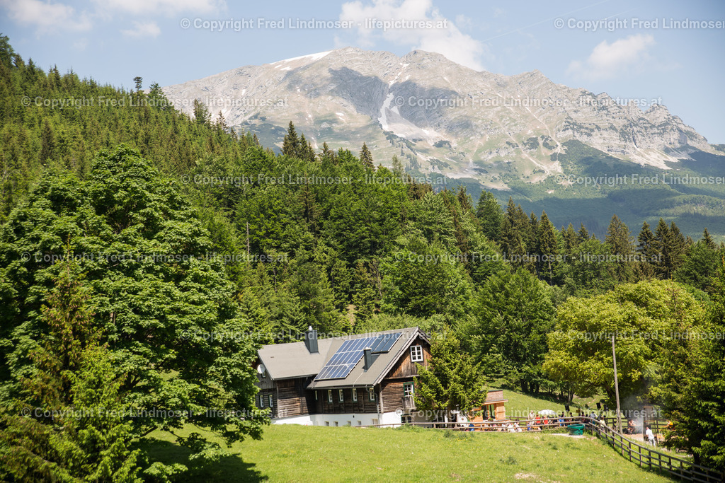 Otscher  (41) | Fotos und Fotoprodukte - Realisiert mit Pictrs.com