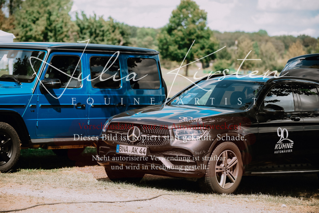 DSC_6410 | Pferde- und Turnierfotografie in Westsachsen. Pferdeportraits, Auftragszeichnungen und intuitive Kunst.