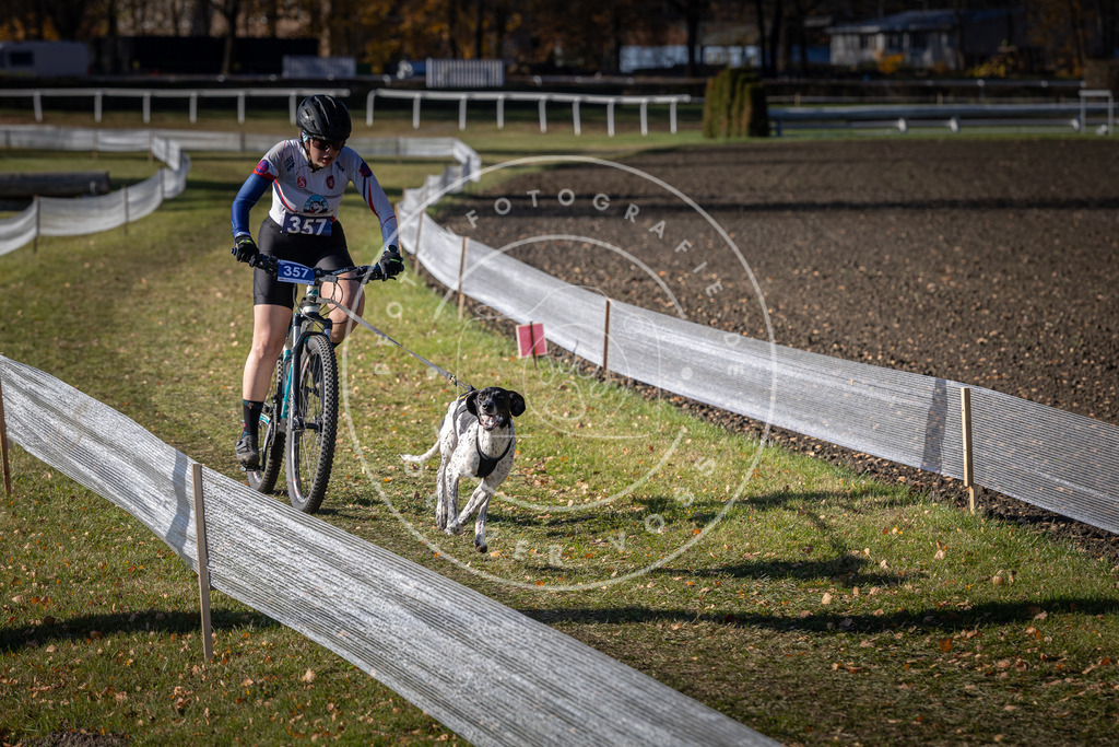 CaniXpix_DV3A7292 | Hundefotografie, Tierfotograf, Pfotenfotografie, Fotoshooting Hund, Hunde Portrait, Hundesport, Hundeportraits, Heideshooting, Hunde, Sportfotograf, Hundefotograf, Turnierhundsport, THS,  - Realisiert mit Pictrs.com