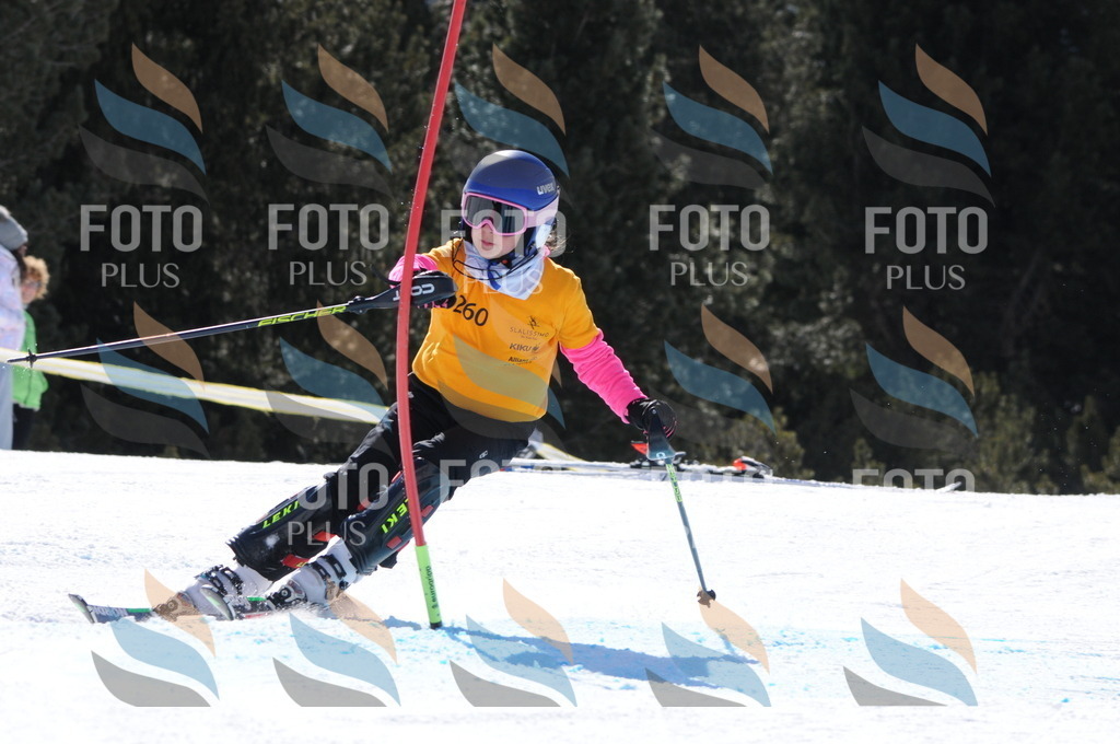 C8909 | holidayphoto