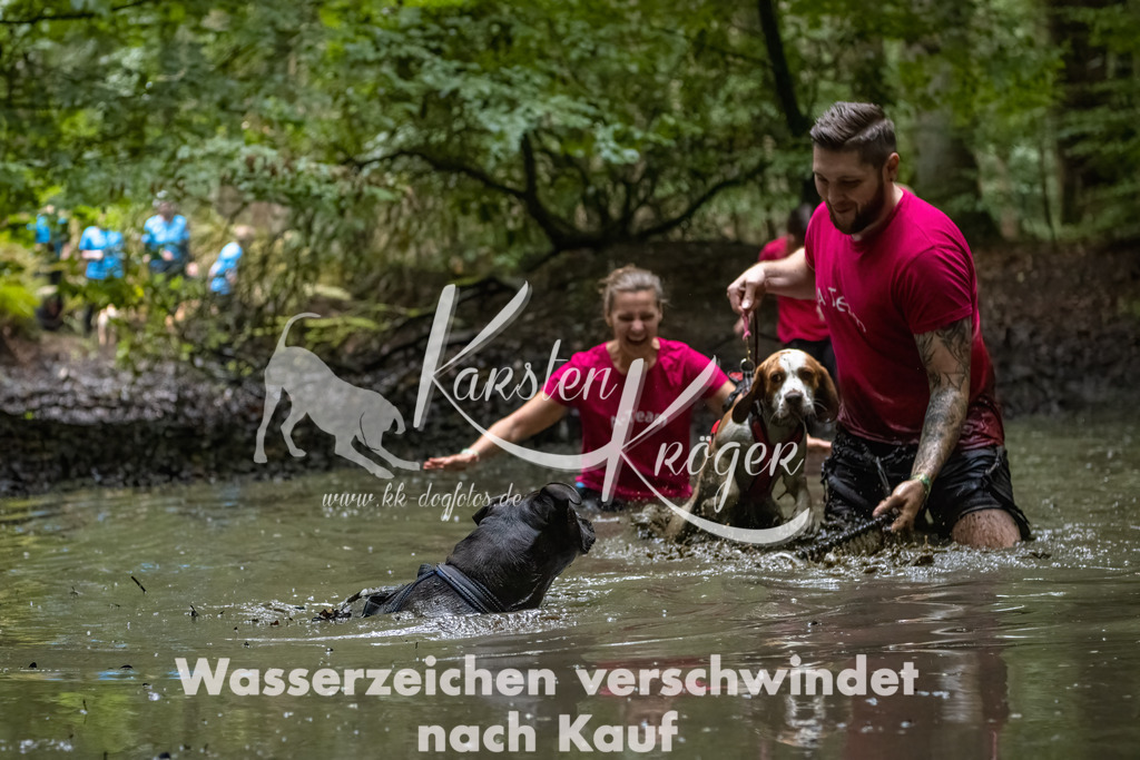 1143_ZZ91077-Bearbeitet-2 | kk-dogfotos