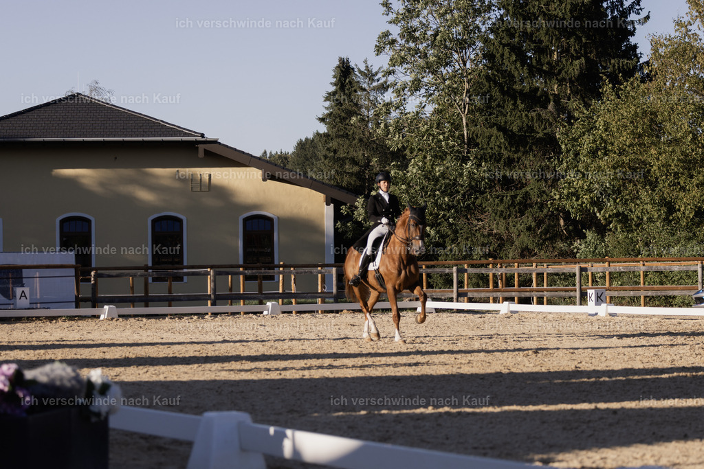 FHC2026_P09_204_19210 | Fichtenhof Classics 2026 – Grand Prix de Dressage - VOLTAIRE Design Preis, Reitanlage Fichtenhof, Sch ftlarn