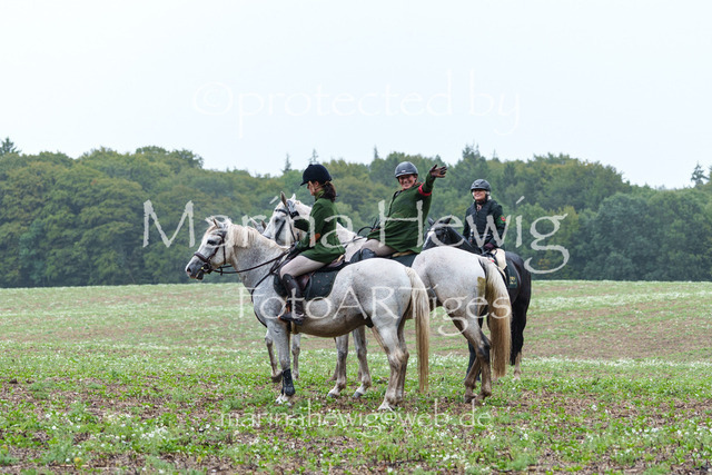 Jagd Perdoel 26 Sony-03553_MarinaHewig | Fotografie, FotoArt, PferdesportArt, Pferdesportfotografie, Landschaftsfotografie, Reisefotografie, Reise, Pferde - Realisiert mit Pictrs.com