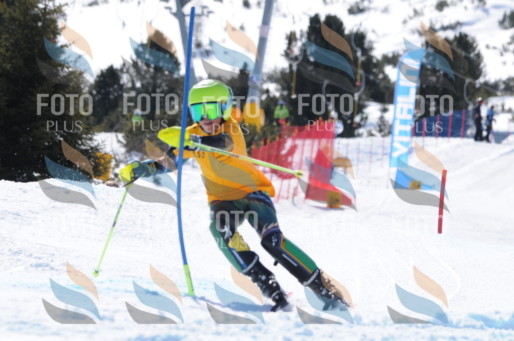 C9295 | holidayphoto