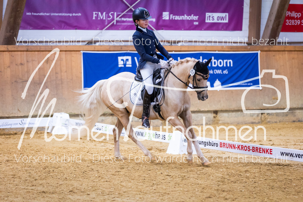 Sth-A-Dre-1St-303 | MomenTaufnahmen Pferdesportfotos