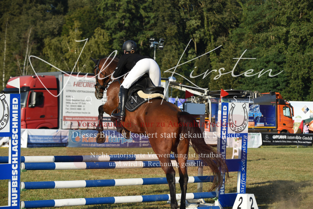DSC_4838 | Pferde- und Turnierfotografie in Westsachsen. Pferdeportraits, Auftragszeichnungen und intuitive Kunst.