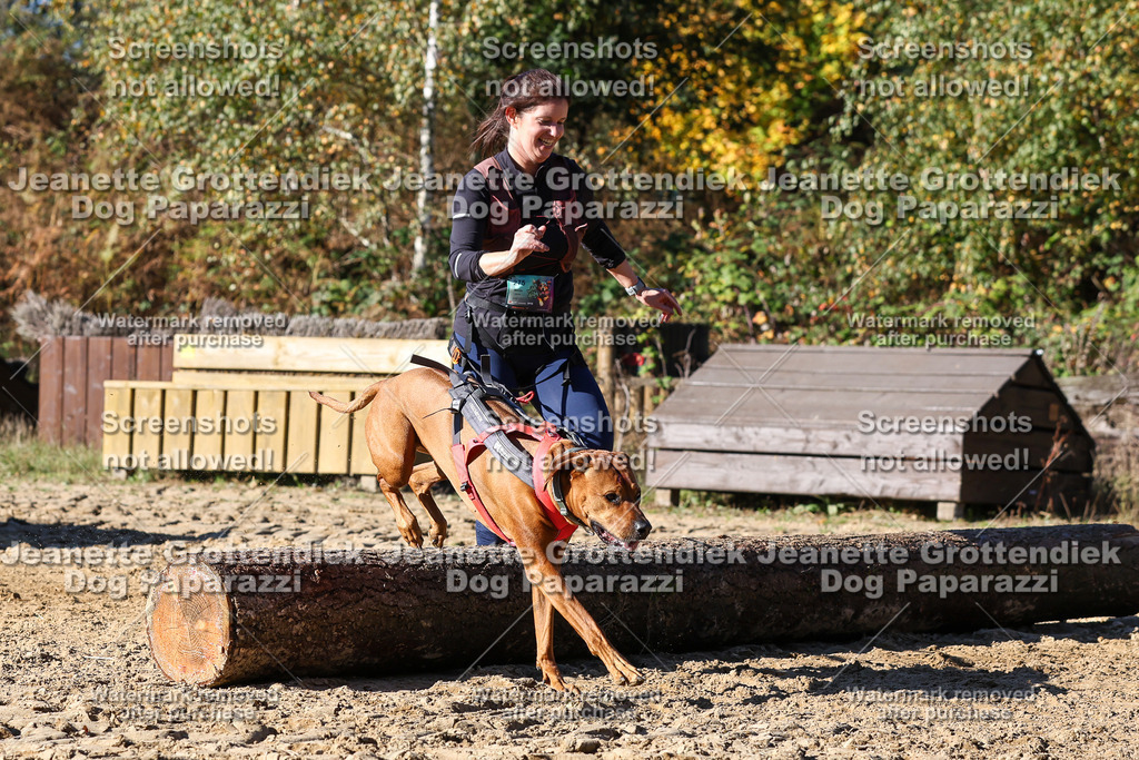 Dog Paparazzi - Strongdog 10-25-2621 | Dog Paparazzi Jeanette Grottendiek Fotografie & Videografie - Realisiert mit Pictrs.com