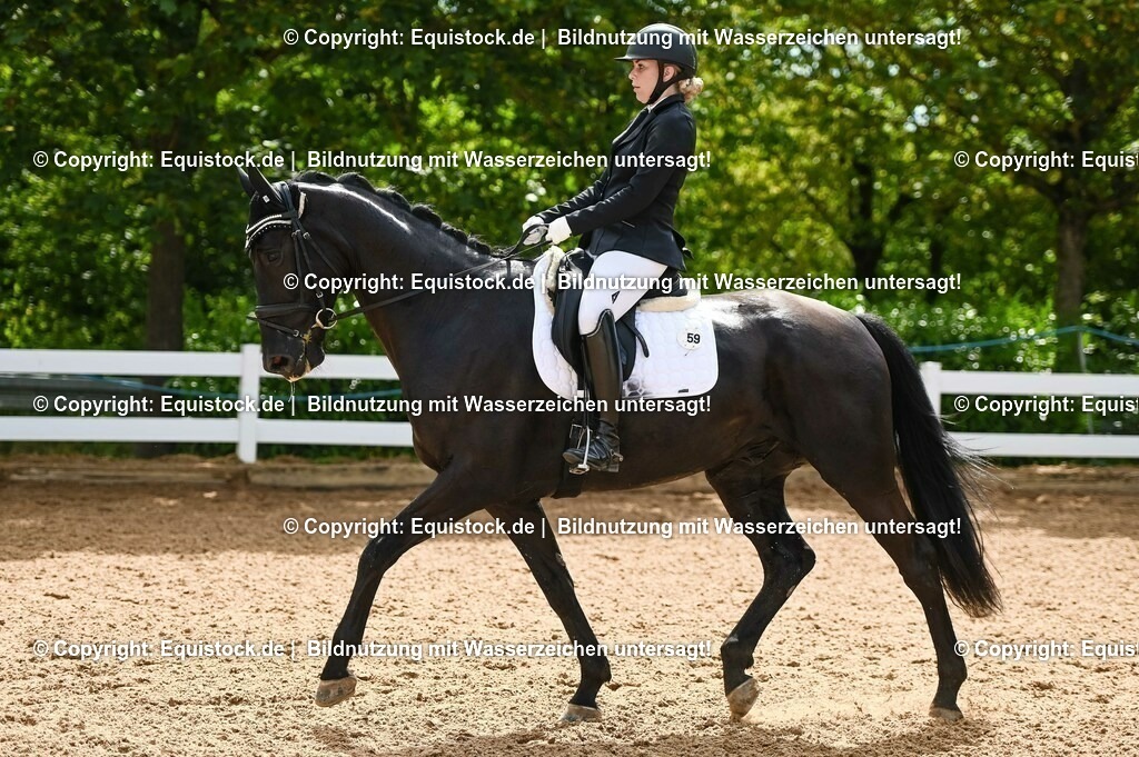 20230715_07_Dressurpferdeprfg. Kl.L_0138 | equistock