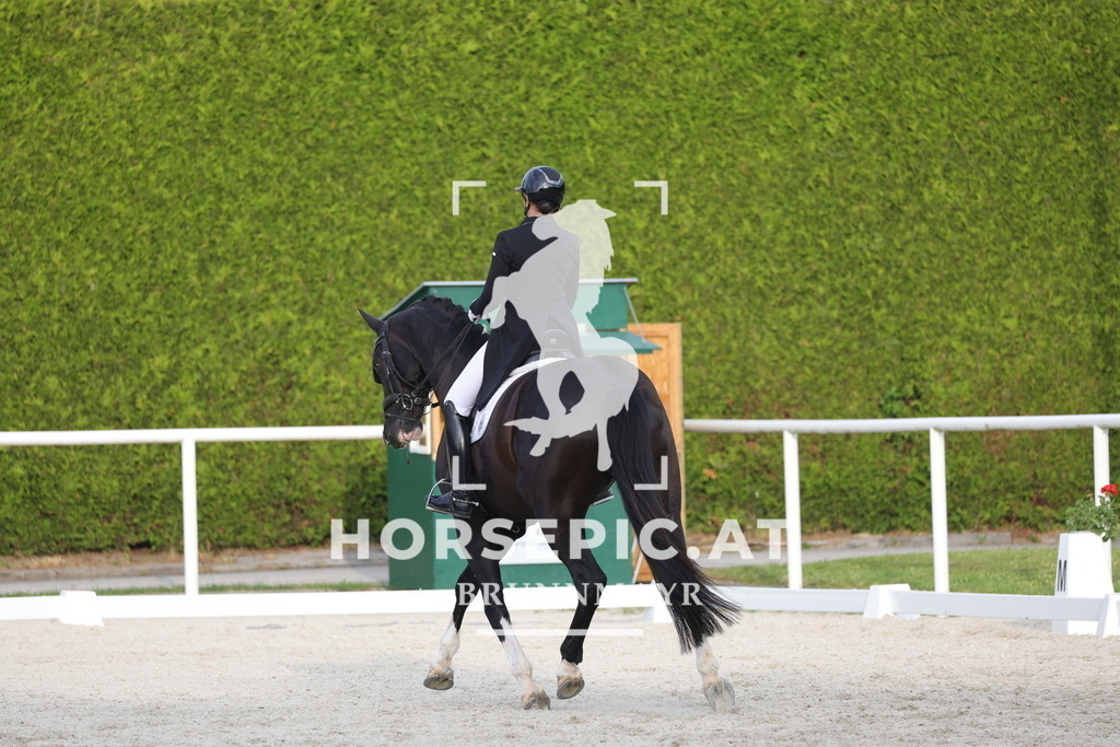 0P6A4430 | Willkommen bei Brunnmayr - Design & Fotografie – Ihrem Spezialisten für Reitturniere und Pferdeveranstaltungen in Oberösterreich, Salzburg und Bayern! Seit über 17 Jahren sind wir leidenschaftlich dabei.