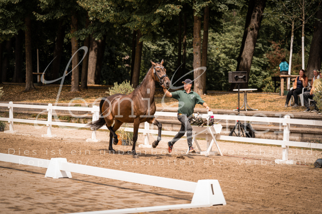 2. Fr00044 | Leoni Ertmer Photography - Realisiert mit Pictrs.com