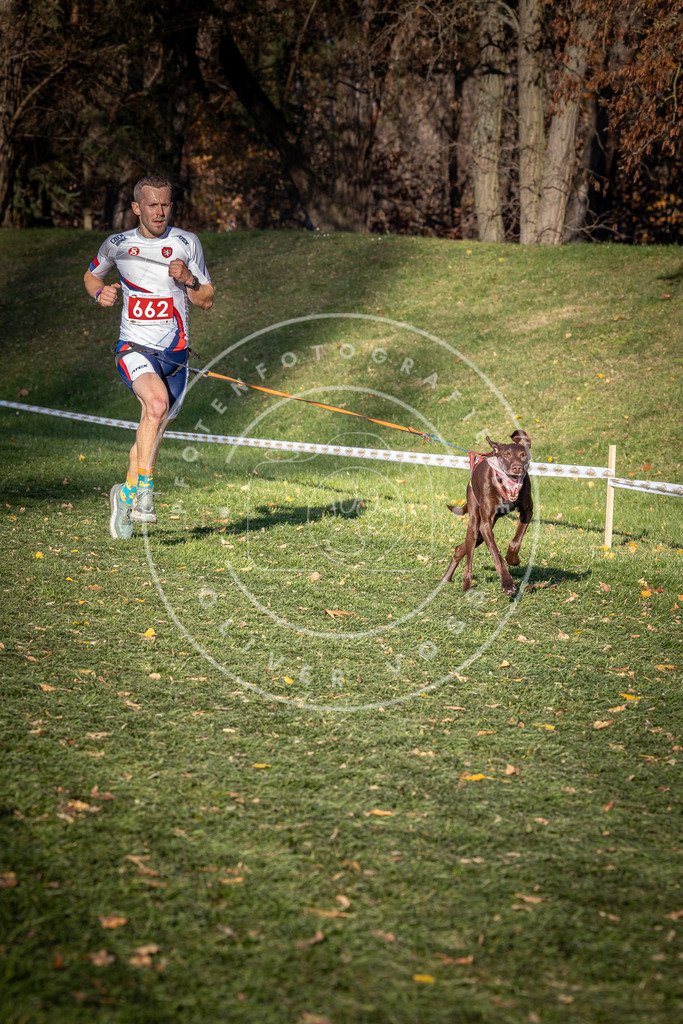 CaniXpix_0L8A9163 | Hundefotografie, Tierfotograf, Pfotenfotografie, Fotoshooting Hund, Hunde Portrait, Hundesport, Hundeportraits, Heideshooting, Hunde, Sportfotograf, Hundefotograf, Turnierhundsport, THS,  - Realisiert mit Pictrs.com