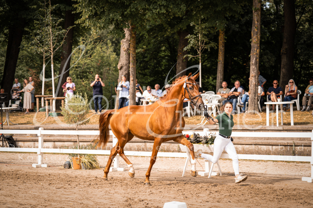 7.Fr00052 | Leoni Ertmer Photography - Realisiert mit Pictrs.com