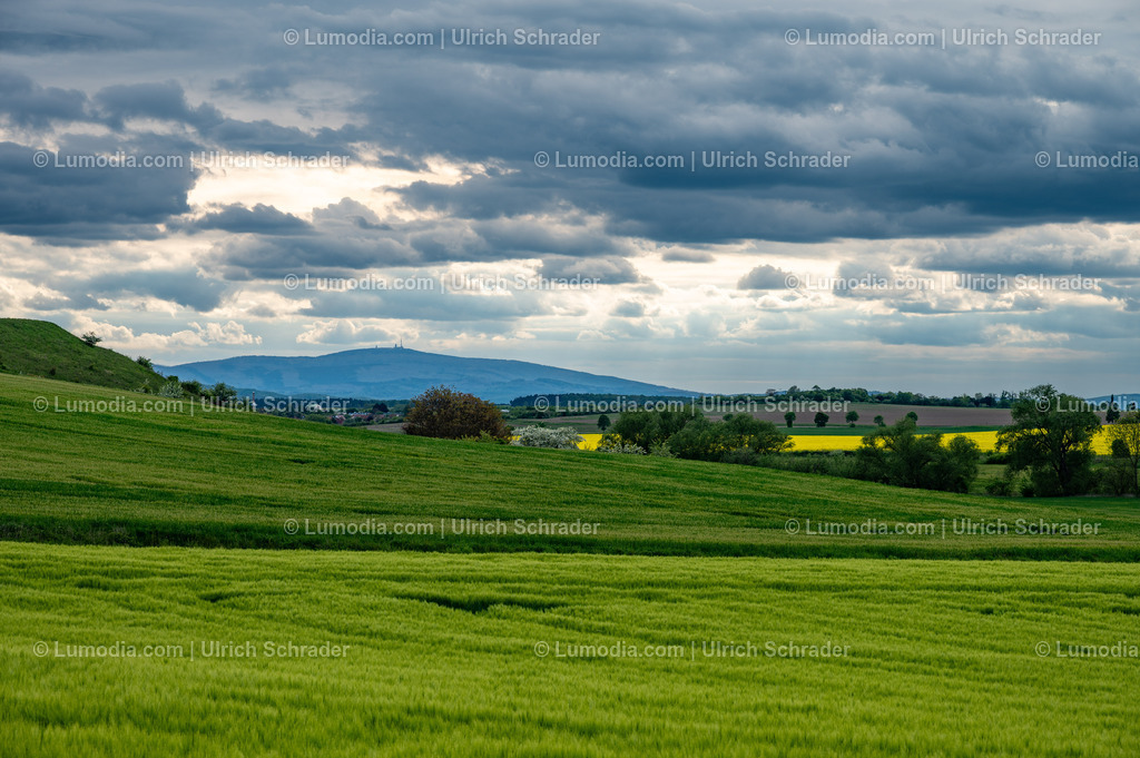 10049-14110 - Im Harzvorland | Stockfoto und Bilderpool mit Bildmaterial aus Deutschland, dem Harz, Halberstadt, Quedlinburg, Wernigerode und weltweit. Qualitativ hochwertige und professionelle Fotos anschauen und kaufen. - Realisiert mit Pictrs.com