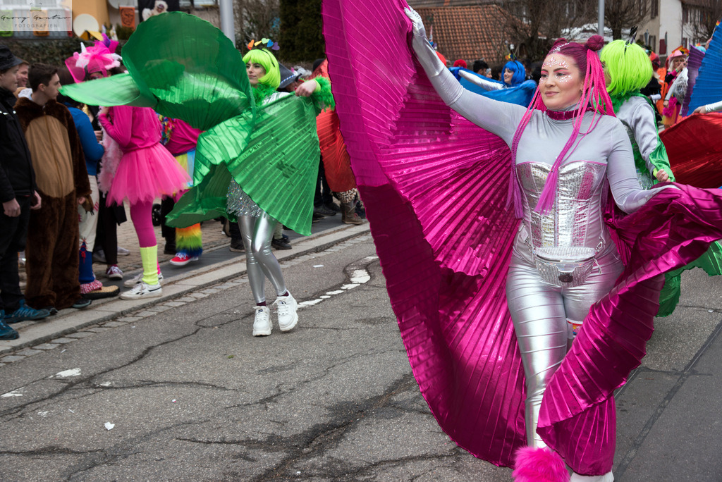 FastSonn_23-168 | Fotoblog Schwarzwald, Foto Blog Wiesental, Pfaffenberg, Winterzauber, Zeller Bergland, Zell im Wiesental, Fotoblog Wiesental, Landschaftsfotos, Bilder Wiesental, Natur, Naturbilder, Fastnacht, Zeller Fastnacht, Zeller Fasnacht, Zeller Bergland, Belchen, - Realisiert mit Pictrs.com