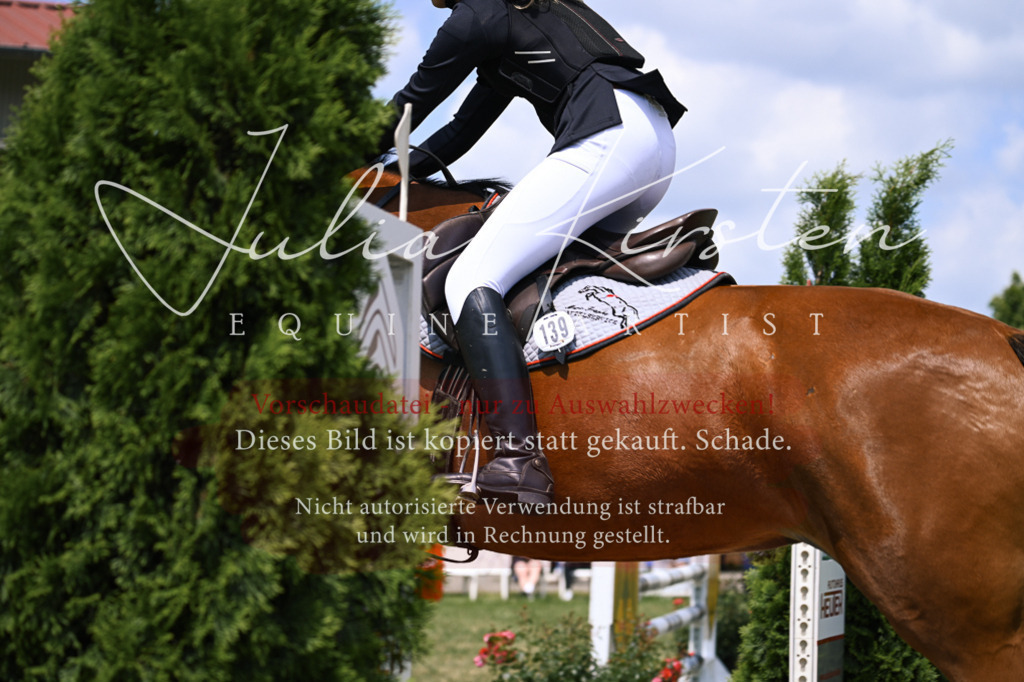 DSC_9282 | Pferde- und Turnierfotografie in Westsachsen. Pferdeportraits, Auftragszeichnungen und intuitive Kunst.