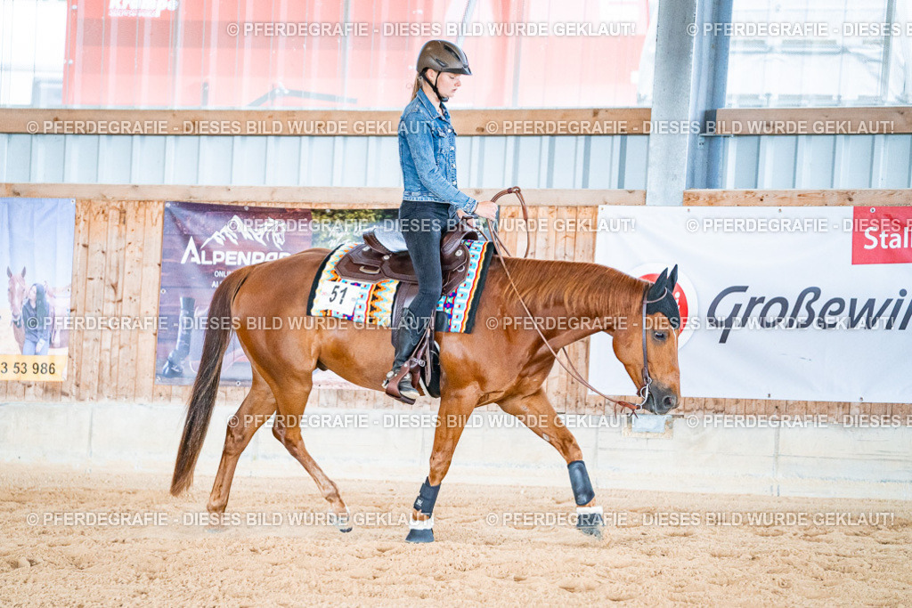 DSC09463 | Pferdegrafie