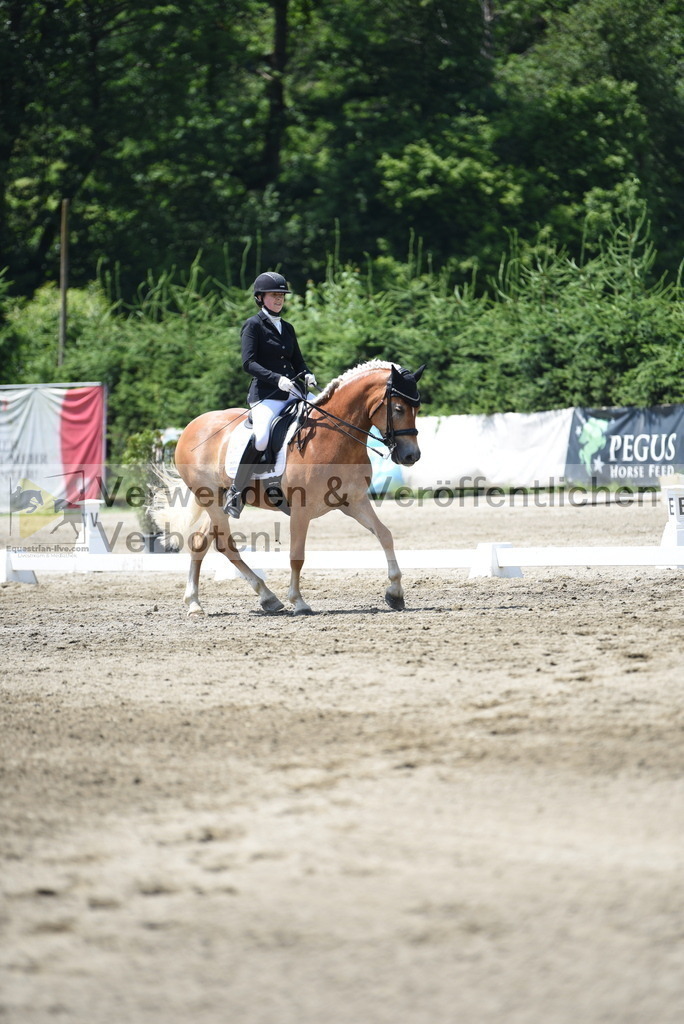 DSC_0350 | equestrian-live-com
