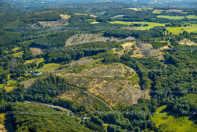 Ennepetal230800811 | Luftbild, Waldgebiet mit Waldschäden, Hasperbach Kahlschlag, Gewerbegebiet Hagener Straße, Voerde, Ennepetal, Ruhrgebiet, Nordrhein-Westfalen, Deutschland