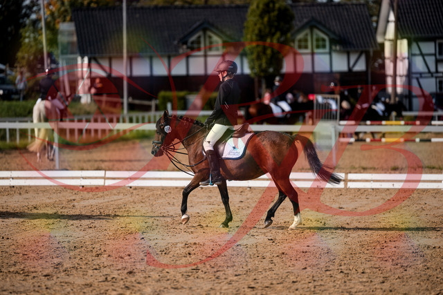 2026_10_03_Siefer-Hof_122031_Z63_43226578 | Professionelle Reitsport-, Turnier- und Eventfotografie von Robert Broda. Galerien mit ausgewählten und bearbeiteten Bildern direkt online ansehen und bestellen.