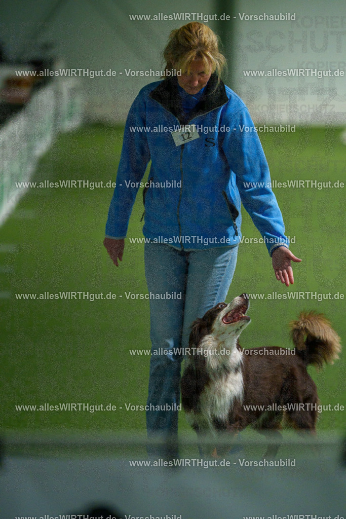 7R505040 | Professionelle Tierfotografie in Mönchengladbach von Daniel Wirth (allesWIRTHgut). Liebevolle & natürliche Bilder von Hunden & Katzen für unvergessliche Erinnerungen.