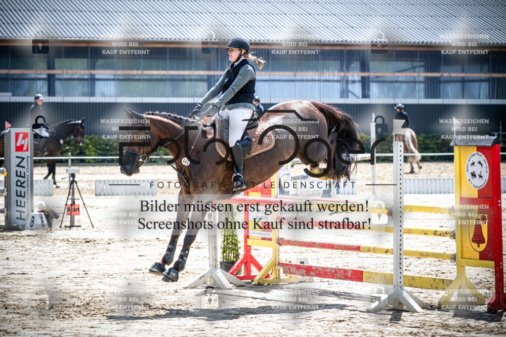 DOS_1527 | Reitturnier Lüdinghausen - Realisiert mit Pictrs.com