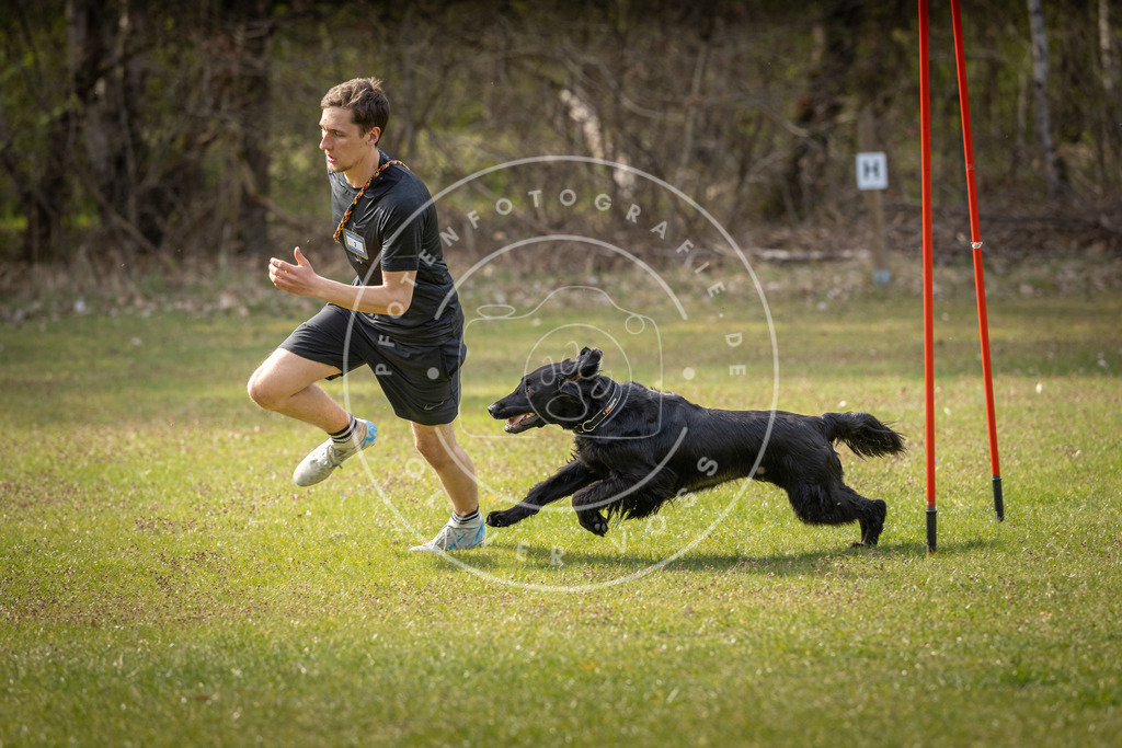 Pfotenfotografie_DV3A9812 | Hundefotografie, Tierfotograf, Pfotenfotografie, Fotoshooting Hund, Hunde Portrait, Hundesport, Hundeportraits, Heideshooting, Hunde, Sportfotograf, Hundefotograf, Turnierhundsport, THS,  - Realisiert mit Pictrs.com
