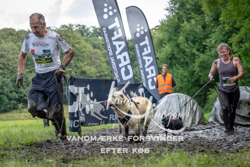 1142_ZZ93972 | kk-dogfotos