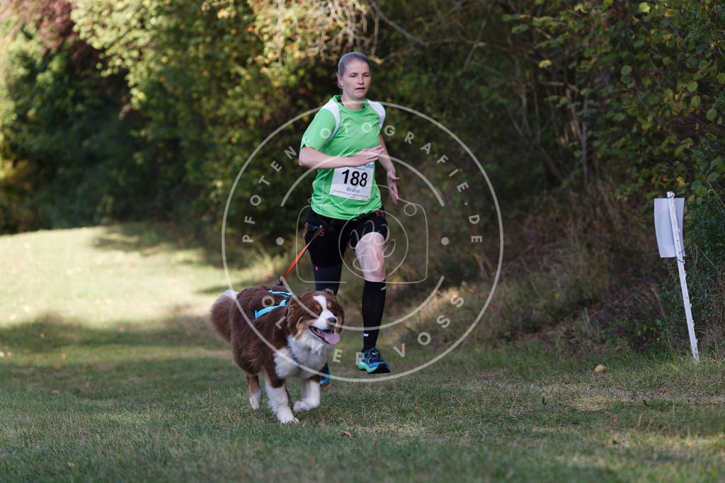 0L8A5759 | Hundefotografie, Tierfotograf, Pfotenfotografie, Fotoshooting Hund, Hunde Portrait, Hundesport, Hundeportraits, Heideshooting, Hunde, Sportfotograf, Hundefotograf, Turnierhundsport, THS,  - Realisiert mit Pictrs.com
