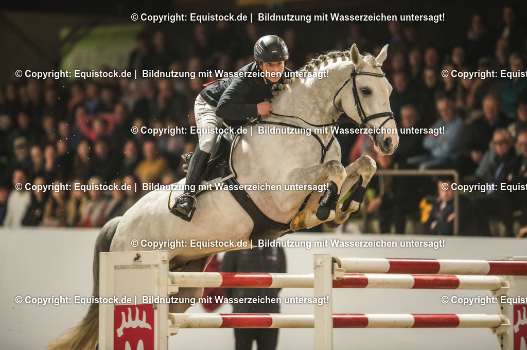 20240302_Hengstvorstellung_Marbach_TOMsPiC_1416-2 | equistock