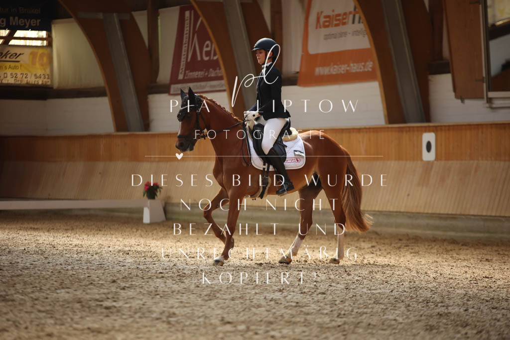 IMGS2352 | pl-fotografie