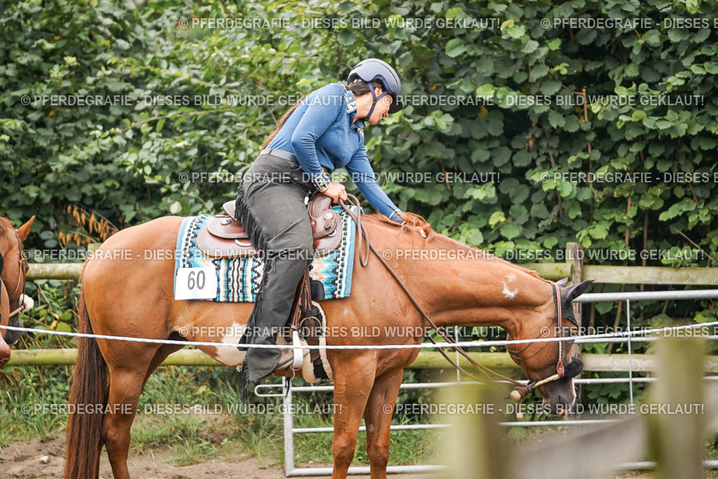 DSC02552 | Pferdegrafie