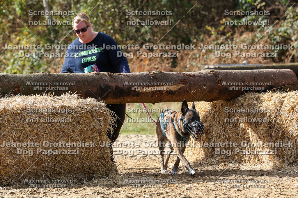 Dog Paparazzi - Strongdog 10-25-5314 | Dog Paparazzi Jeanette Grottendiek Fotografie & Videografie - Realisiert mit Pictrs.com