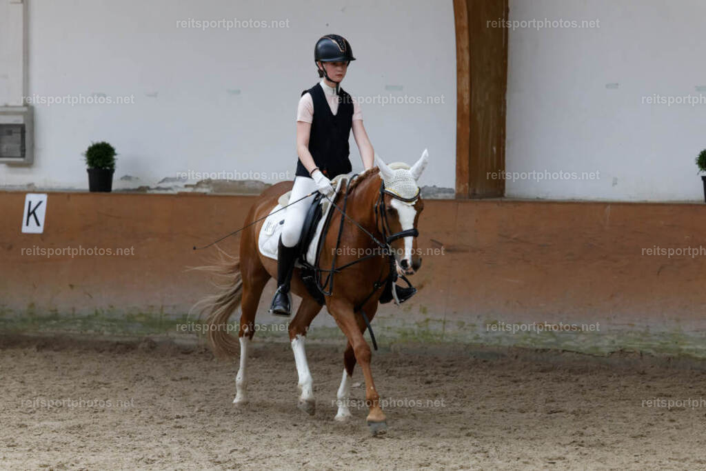 JHE34285 | JoYa Fotografie - Realisiert mit Pictrs.com